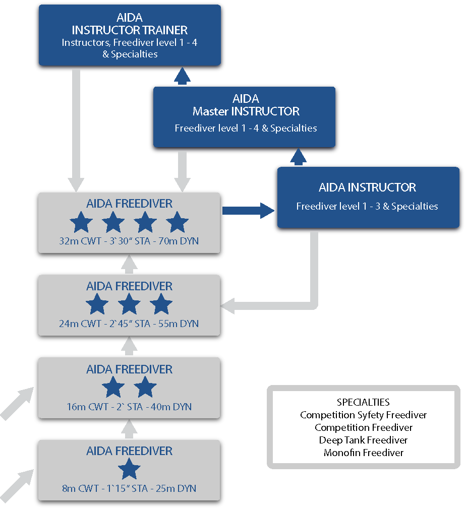 Aida Kurs Aufbau Richtlinien