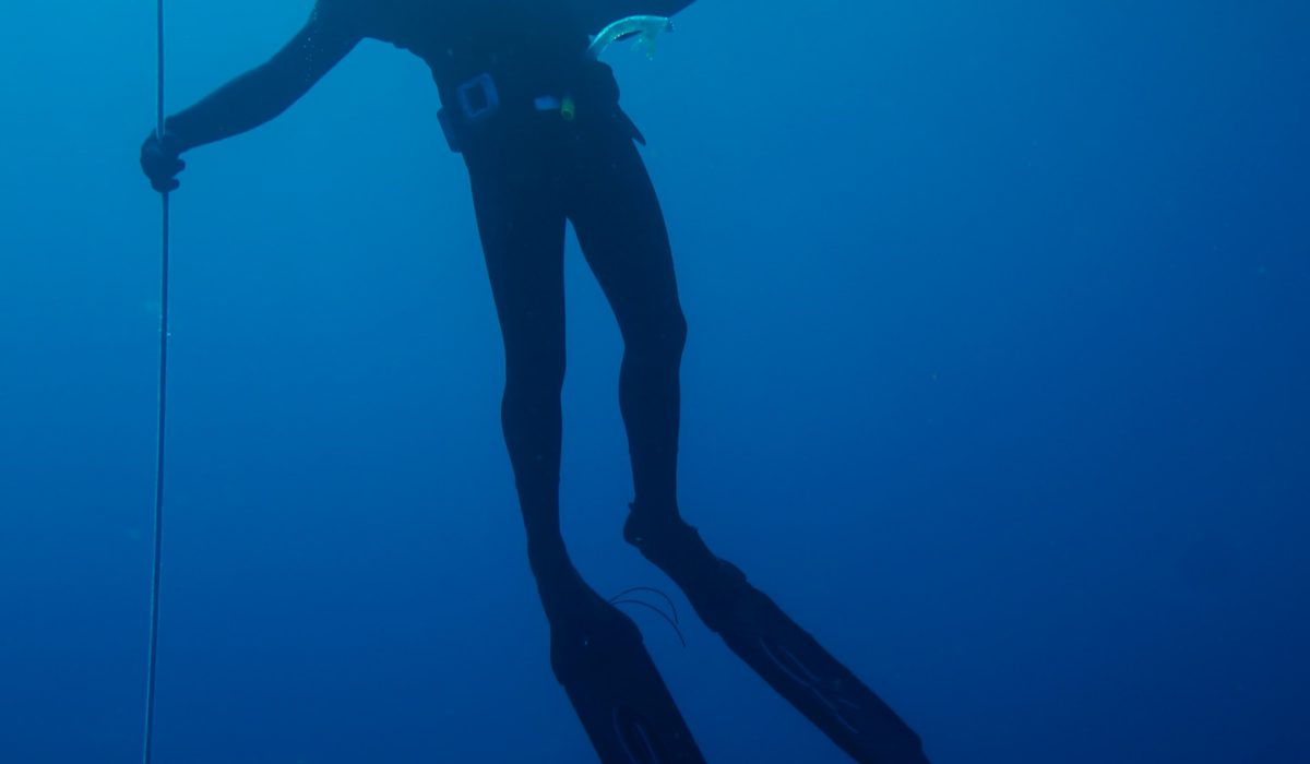 Deutscher Rekord No Limit 003