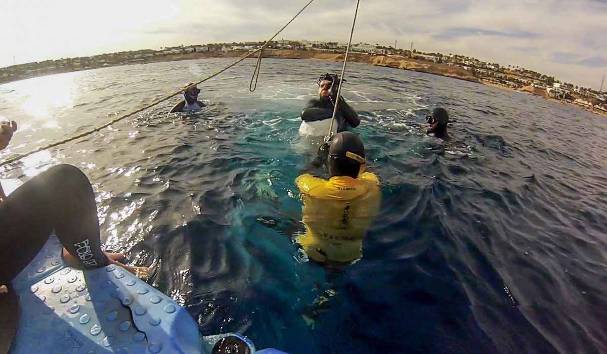 Deutscher Rekord No Limit 016